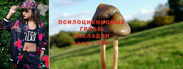 винт Богданович